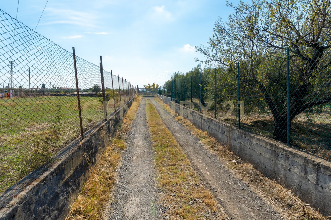 Terreno Motta S.A (4).jpg - Terreno agricolo Via Margarone 5, Motta Sant'Anastasia - foto 3
