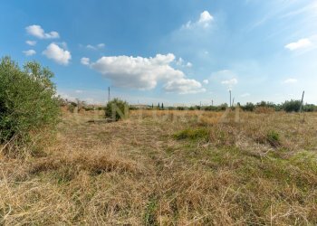 Terreno Motta S.A (7).jpg - Terreno agricolo Via Margarone 5, Motta Sant'Anastasia - foto 4