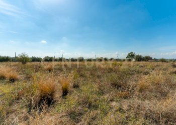 Terreno Motta S.A (9).jpg - Terreno agricolo Via Margarone 5, Motta Sant'Anastasia - foto 6