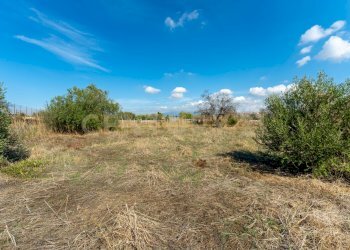 Terreno Motta S.A (10).jpg - Terreno agricolo Via Margarone 5, Motta Sant'Anastasia - foto 7