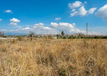 Terreno Motta S.A (14).jpg - Terreno agricolo Via Margarone 5, Motta Sant'Anastasia - foto 10