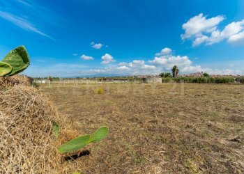 Terreno Motta S.A (15).jpg - Terreno agricolo Via Margarone 5, Motta Sant'Anastasia - foto 11