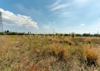 Terreno Motta S.A (17).jpg - Terreno agricolo Via Margarone 5, Motta Sant'Anastasia - foto 13