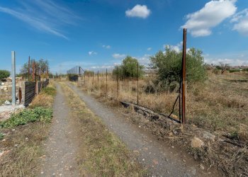 Terreno Motta S.A (6).jpg - Terreno agricolo Via Margarone 5, Motta Sant'Anastasia - foto 18