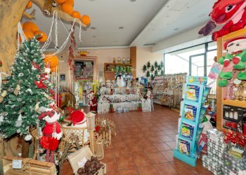 Il Regno del Giocattolo (13).jpg - Commercial Premises Via Passo Gravina 150, Catania - photo 13