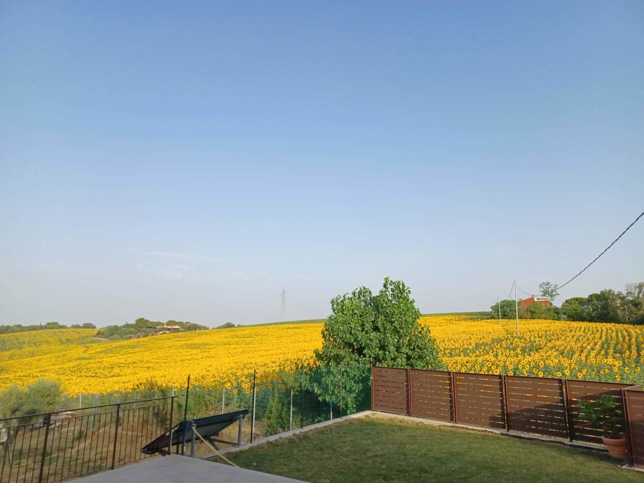 20220628_071006.jpg - Porzione di casa Via Barcaglione, Falconara Marittima - foto 3