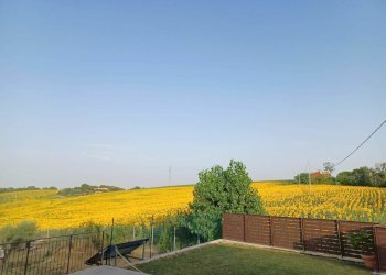 20220628_071006.jpg - Porzione di casa Via Barcaglione, Falconara Marittima - foto 3