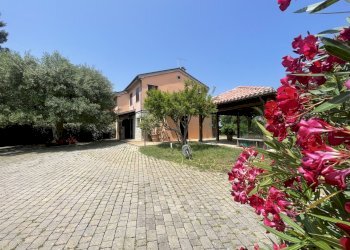 IMG_2150.jpeg - Villa Coppo, Sirolo - foto 5