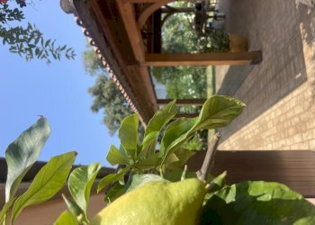 IMG_2089.jpeg - Villa Coppo, Sirolo - foto 20