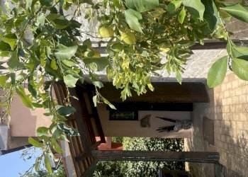 IMG_2101.jpeg - Villa Coppo, Sirolo - foto 23