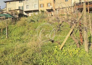 IMG_0705.JPG - Porzione di casa Pietrasanta - foto 1