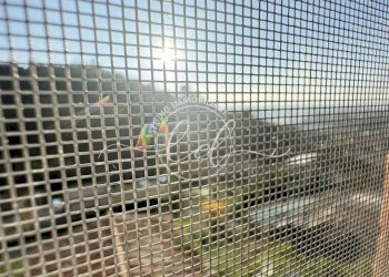 IMG_0733.JPG - Porzione di casa Pietrasanta - foto 26