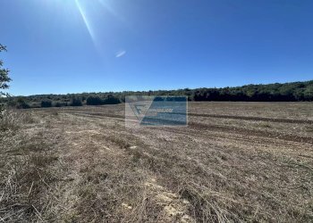 Appartamento Noto - foto 1