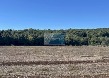 Appartamento Noto - foto 2