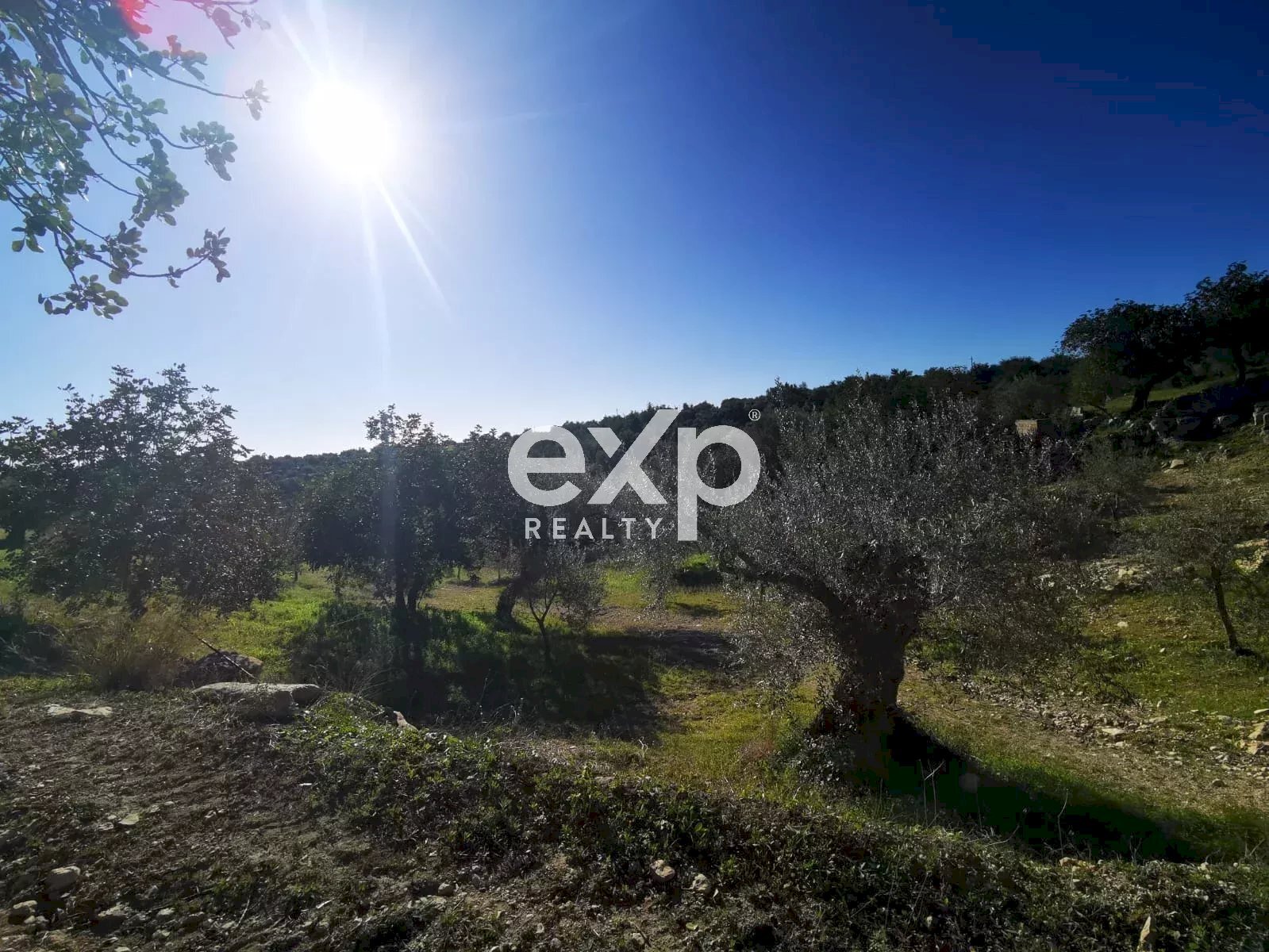 Building land Rosolini - photo 1