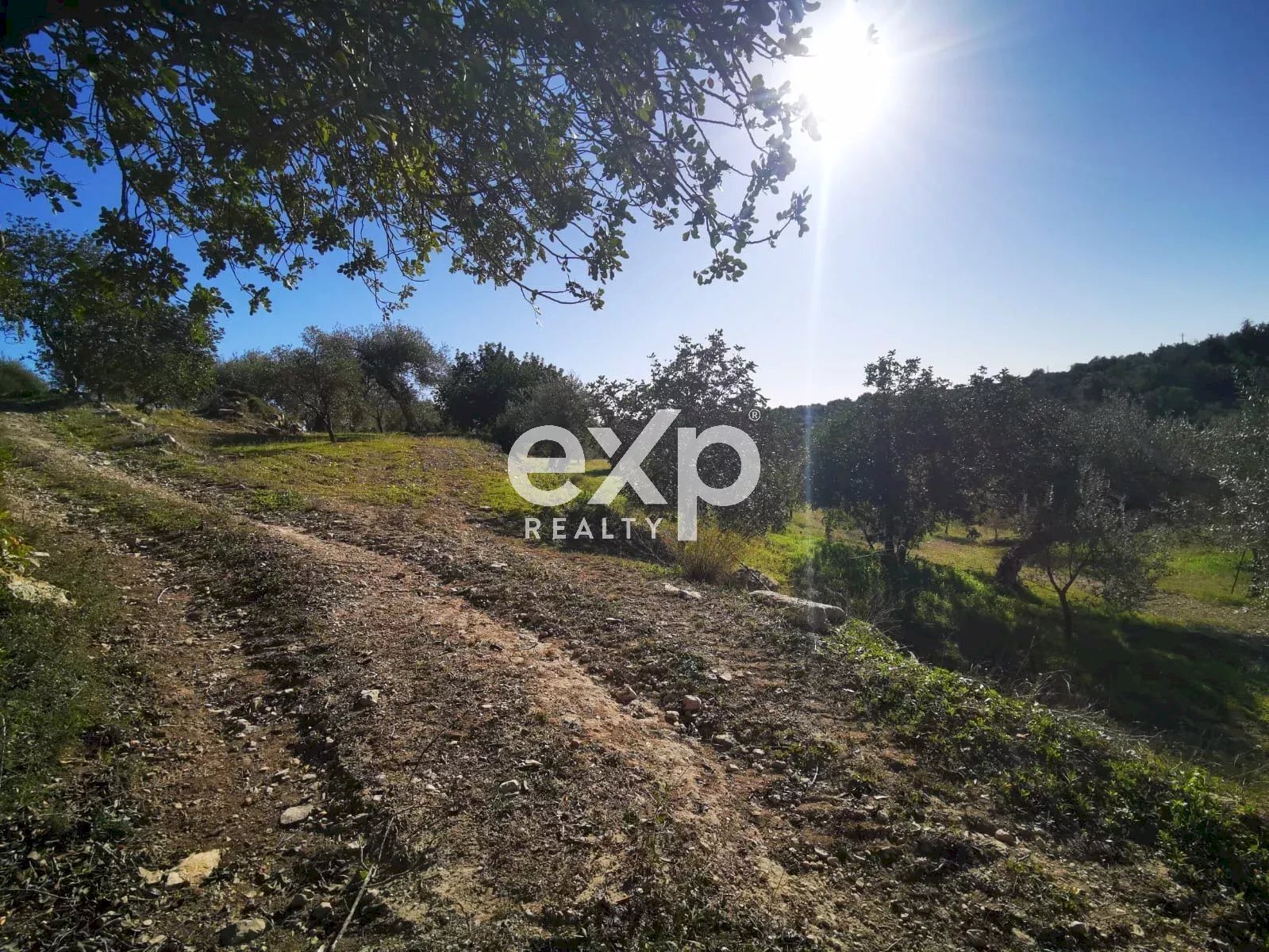 Building land Rosolini - photo 2