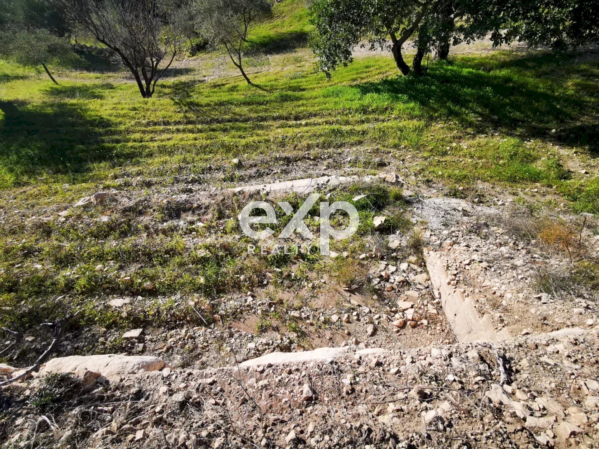 Building land Rosolini - photo 3