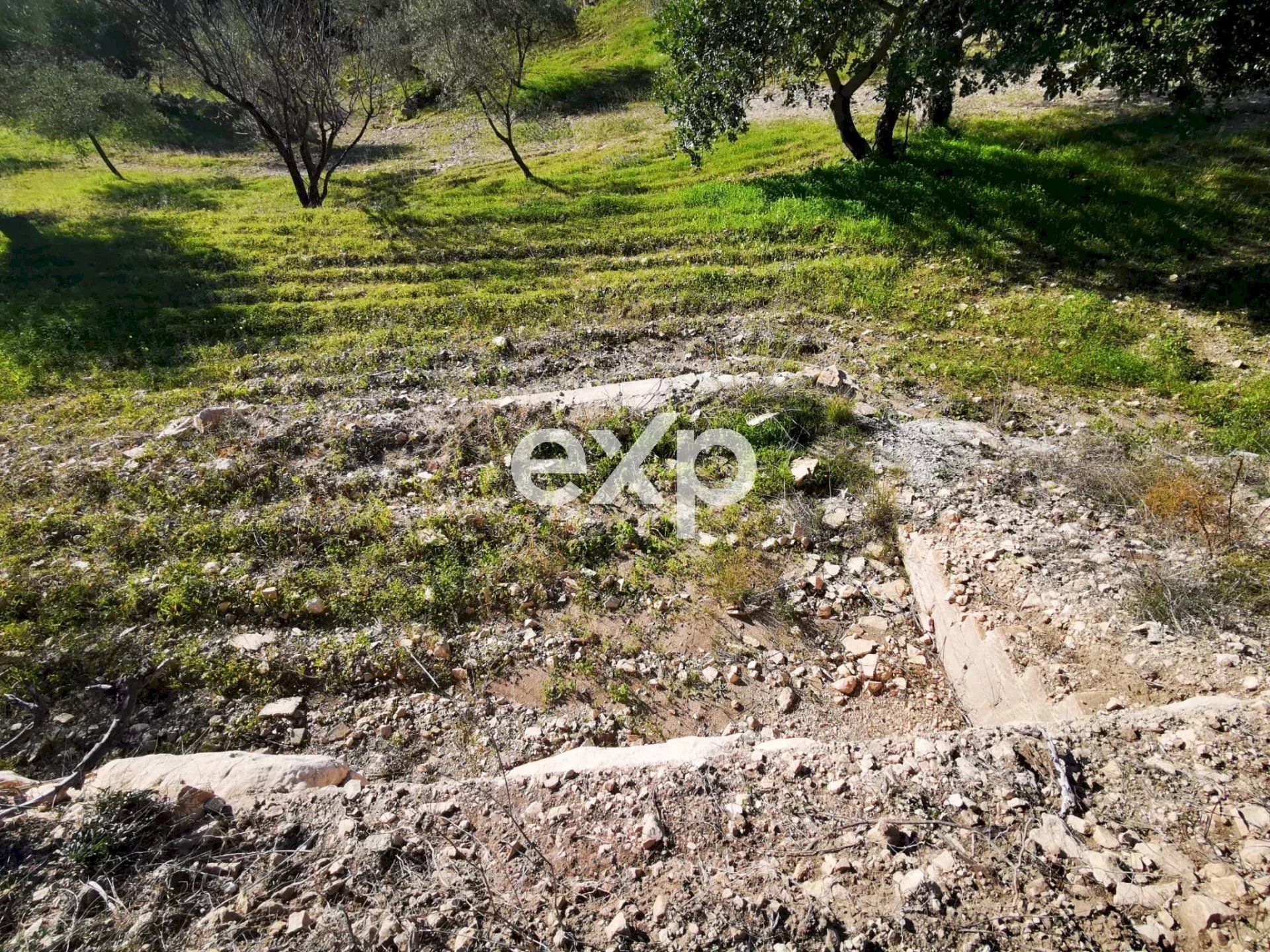 Terreno edificabile Rosolini - foto 3