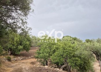 Terreno edificabile Rosolini - foto 5