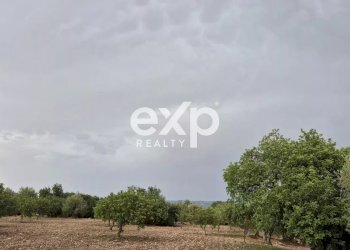 Terreno edificabile Rosolini - foto 7