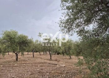 Terreno edificabile Rosolini - foto 8