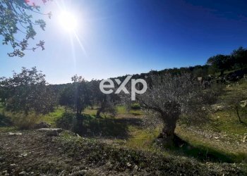 Terreno edificabile Rosolini - foto 1