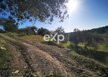 Terreno edificabile Rosolini - foto 2