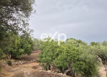 Terreno edificabile Rosolini - foto 5