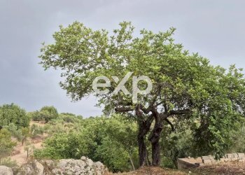 Terreno edificabile Rosolini - foto 6