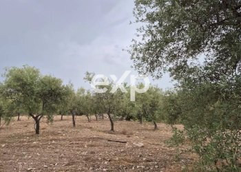 Terreno edificabile Rosolini - foto 8