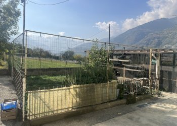 Villa Frazione Bovet, 11, Gressan - foto 5