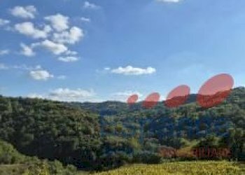 Porzione di casa Bertinoro - foto 5