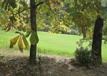 Rustico Montecreto - foto 5