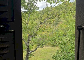 Rustico Montecreto - foto 19