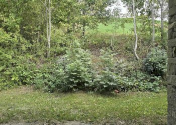 Rustico Montecreto - foto 42