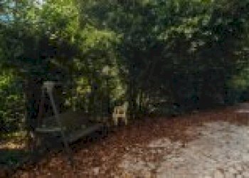 Casa indipendente Riva del Po - foto 8