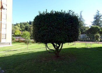 Appartamento Terni - foto 28