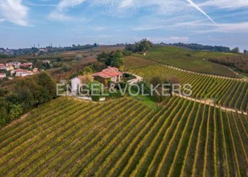 Terreno - Rustico Frazione Berri, La Morra - foto 9