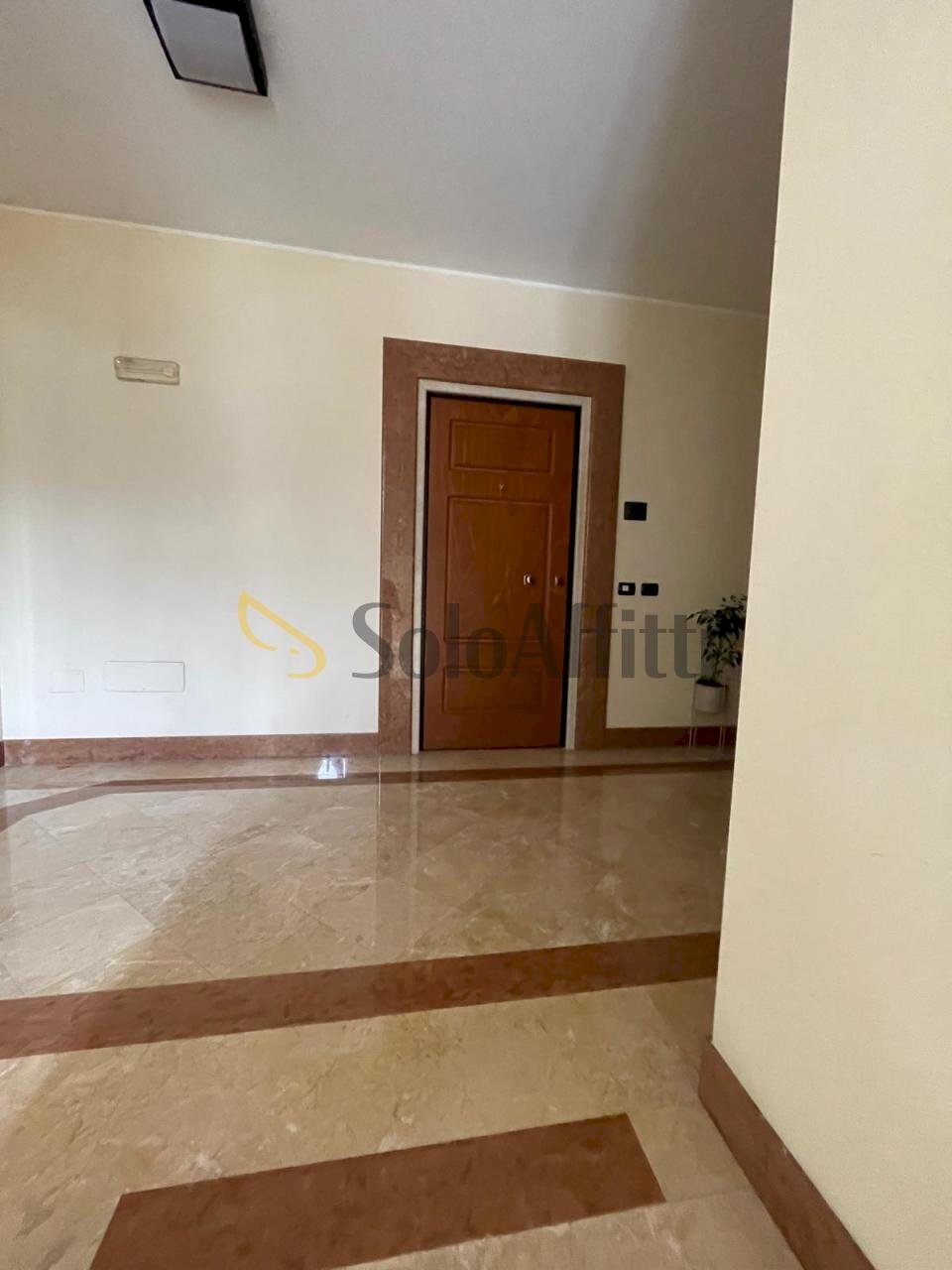 IMG-20251015-WA0081.jpg - Appartamento Sora - foto 2