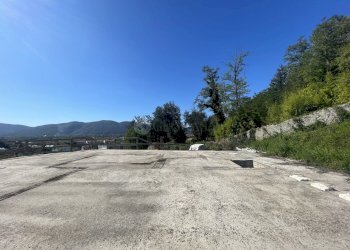 IMG_6436.jpeg - Villa Via Nave 5, Sarzana - foto 3