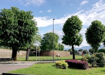 porta elisa lucca toscana mura copia.jpg - Appartamento Piazza San Michele 46, Lucca - foto 1