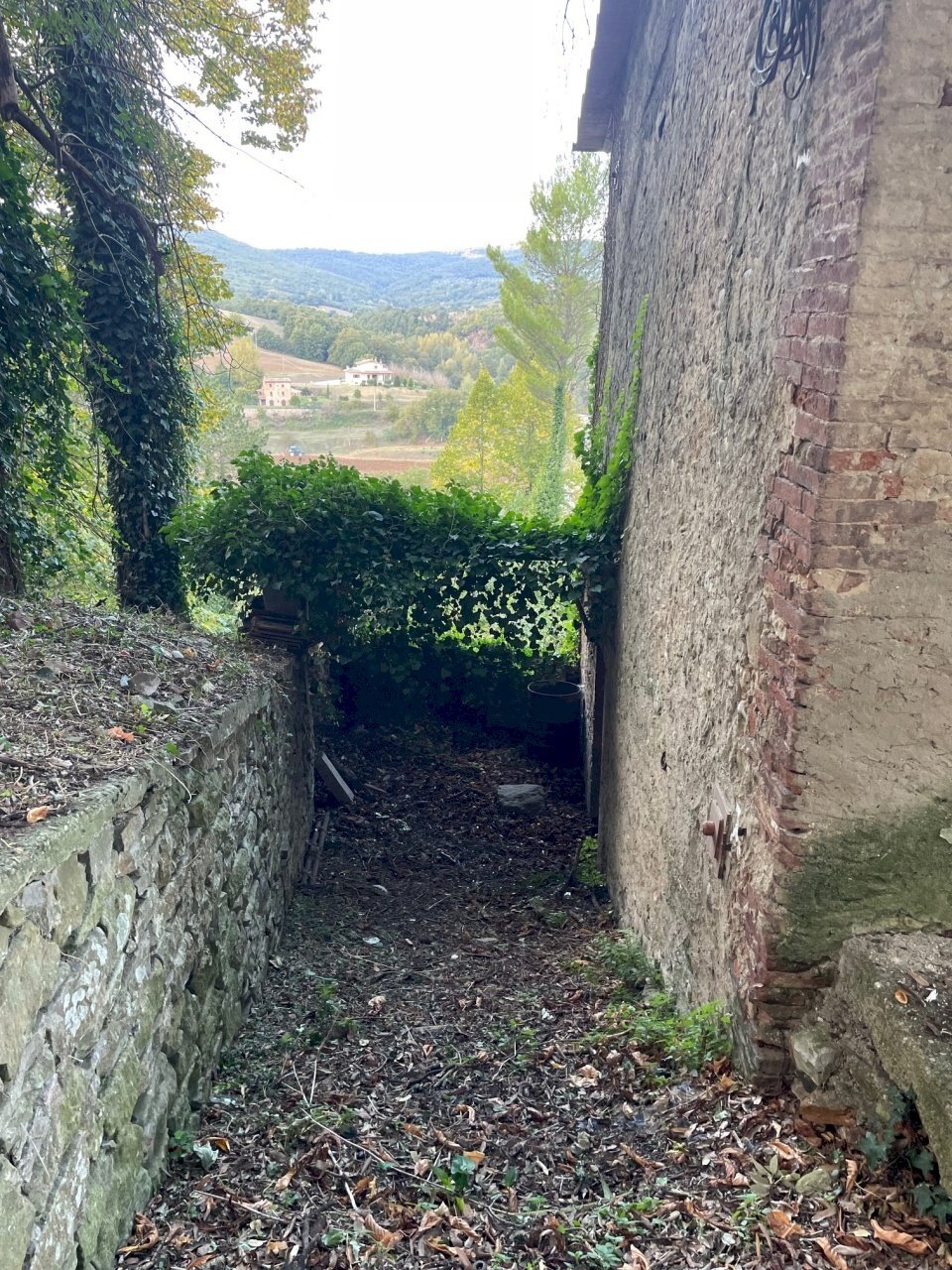 dettagli - Casale Via dei Fossi 110, Piegaro - foto 3