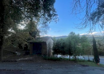 IMG_5903.jpg - Casale Via dei Fossi 110, Piegaro - foto 1