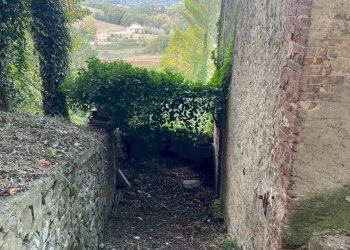 dettagli - Casale Via dei Fossi 110, Piegaro - foto 3