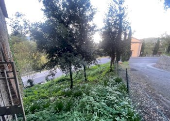 terreno - Casale Via dei Fossi 110, Piegaro - foto 14