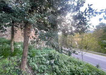 terreno - Casale Via dei Fossi 110, Piegaro - foto 15