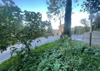 terreno - Casale Via dei Fossi 110, Piegaro - foto 17