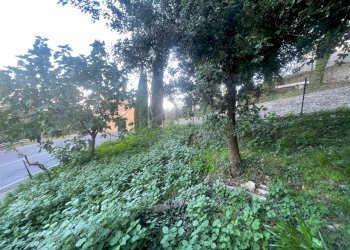 terreno - Casale Via dei Fossi 110, Piegaro - foto 18