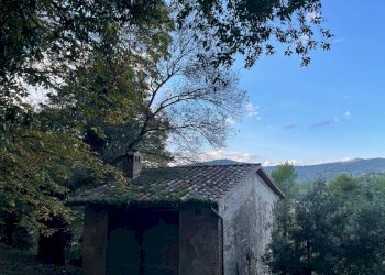 IMG_5901.jpg - Casale Via dei Fossi 110, Piegaro - foto 25