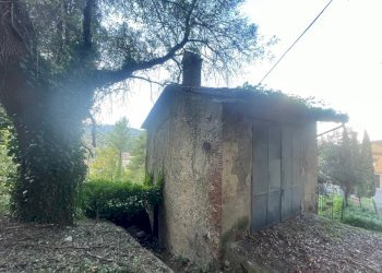 IMG_5904.jpg - Casale Via dei Fossi 110, Piegaro - foto 26